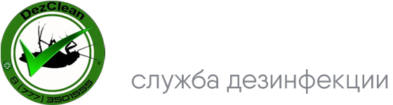 DezClean - служба дезинфекции в Усть-Каменогорске